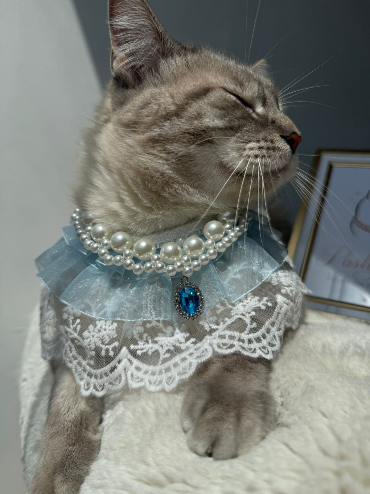 PERLAS